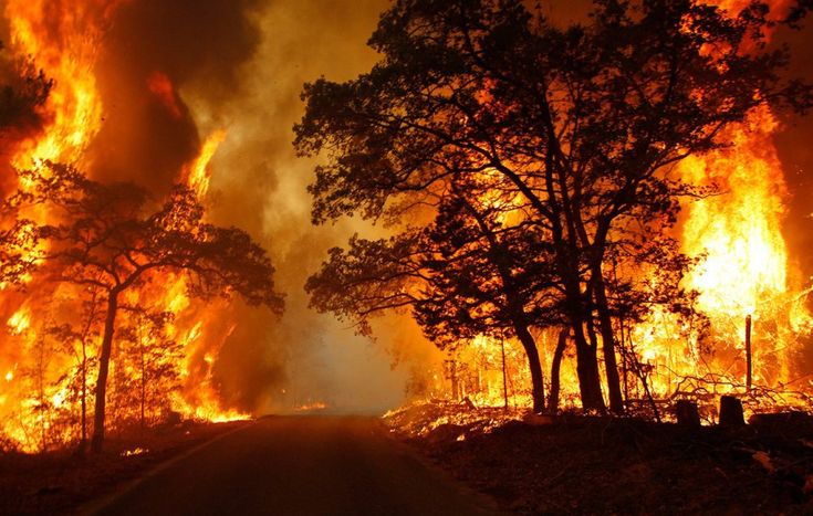 Le Réchauffement Climatique :  Défis et Solutions